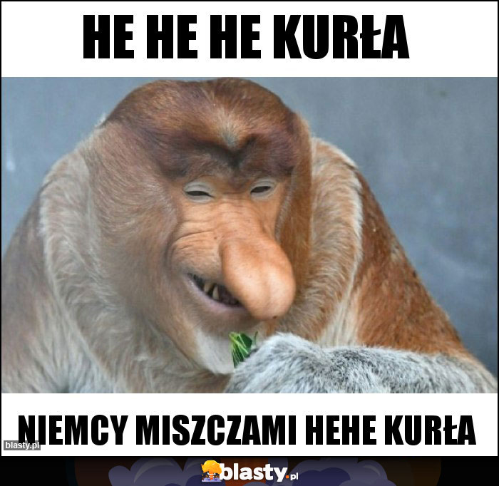 He he he kurła