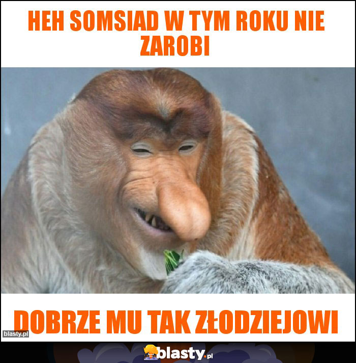 Heh somsiad w tym roku nie zarobi