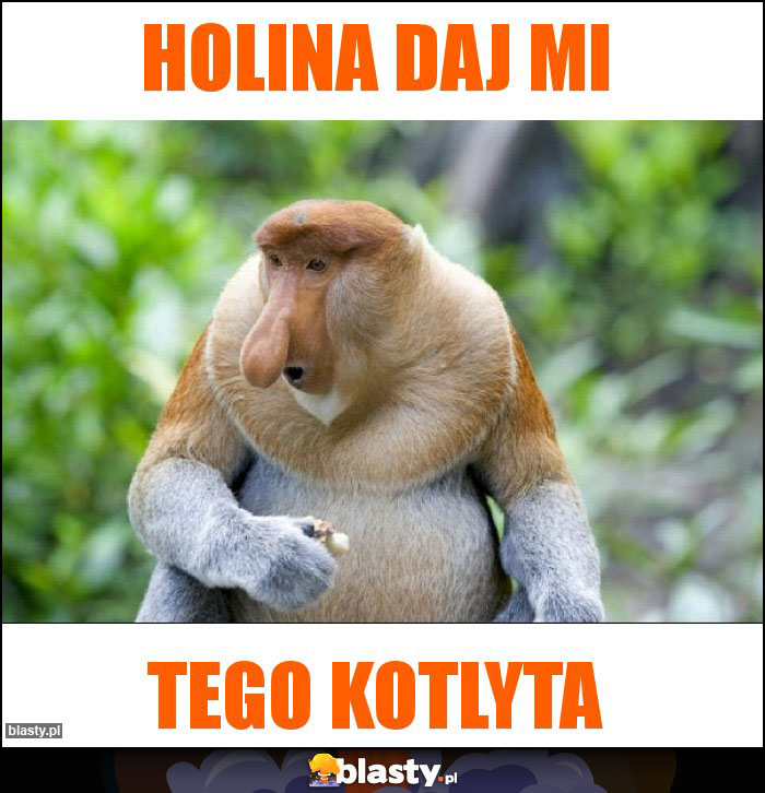 Holina daj mi