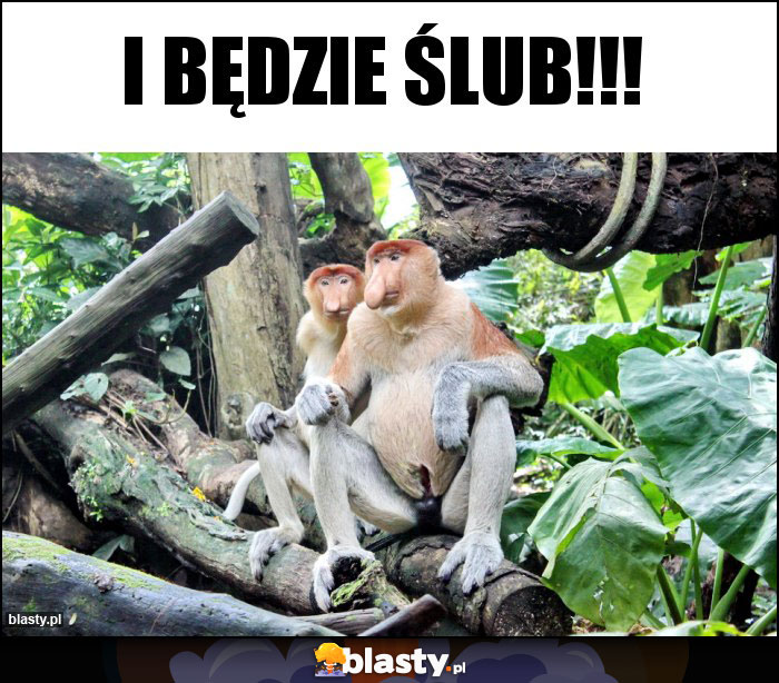 I będzie ślub!!!