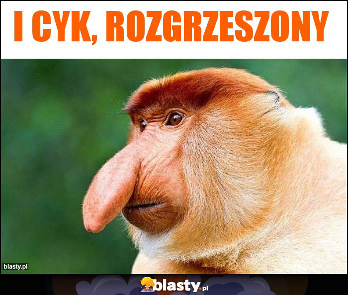 I cyk, rozgrzeszony