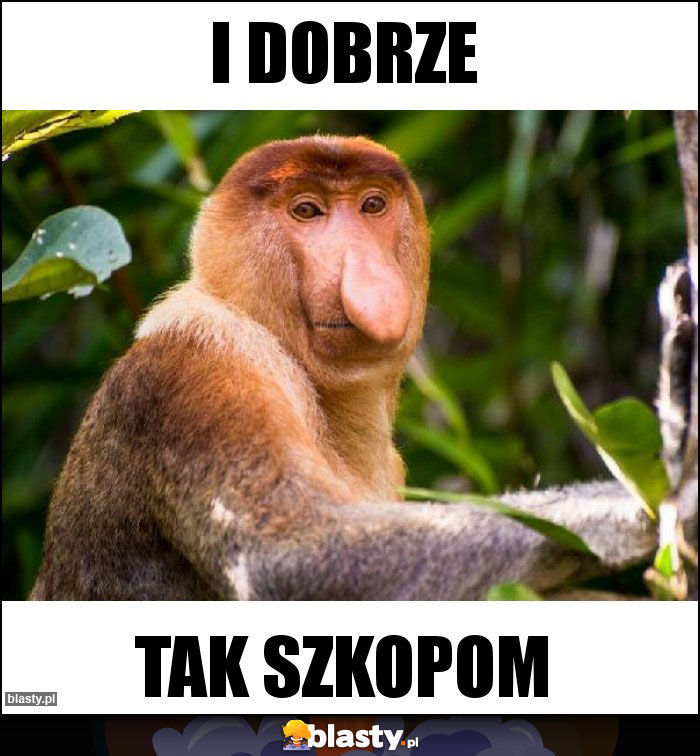 I dobrze