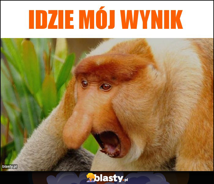 Idzie mój wynik