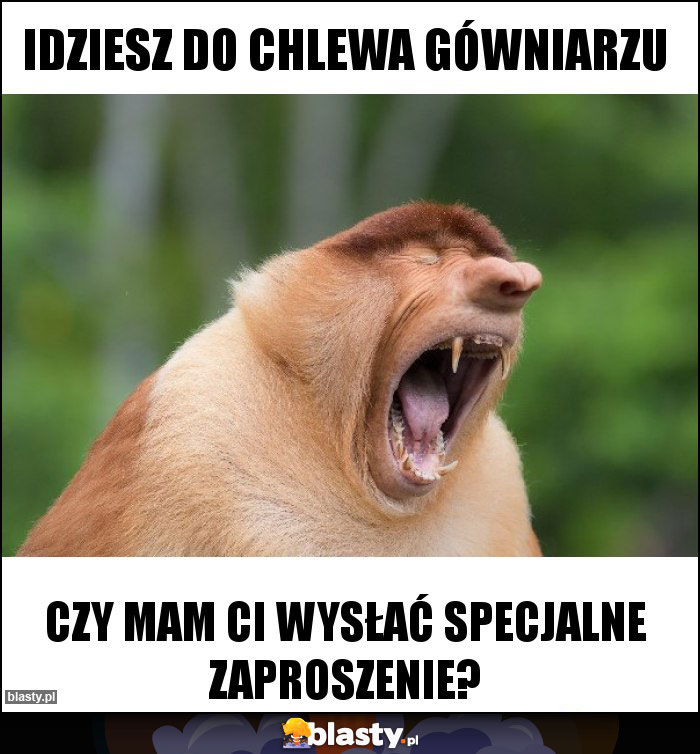 IDZIESZ DO CHLEWA GÓWNIARZU