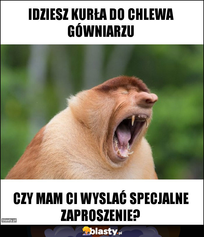 IDZIESZ KURŁA DO CHLEWA GÓWNIARZU