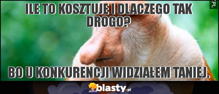 Ile to kosztuje i dlaczego tak drogo?