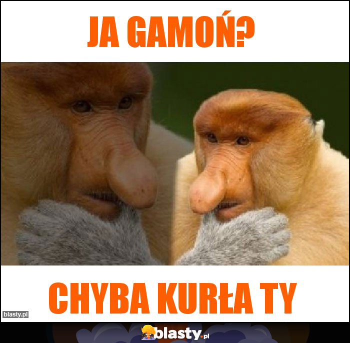 Ja gamoń?