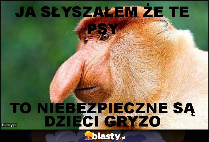 JA SŁYSZAŁEM ŻE TE PSY