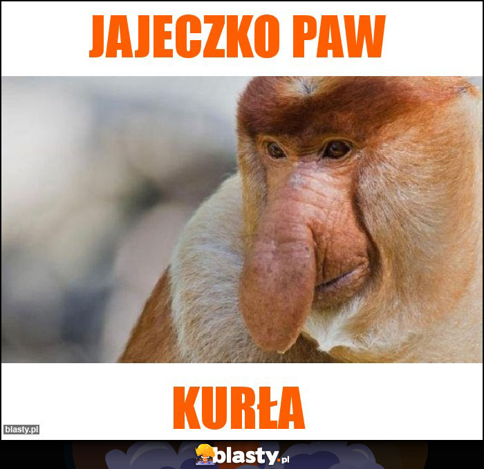 Jajeczko paw