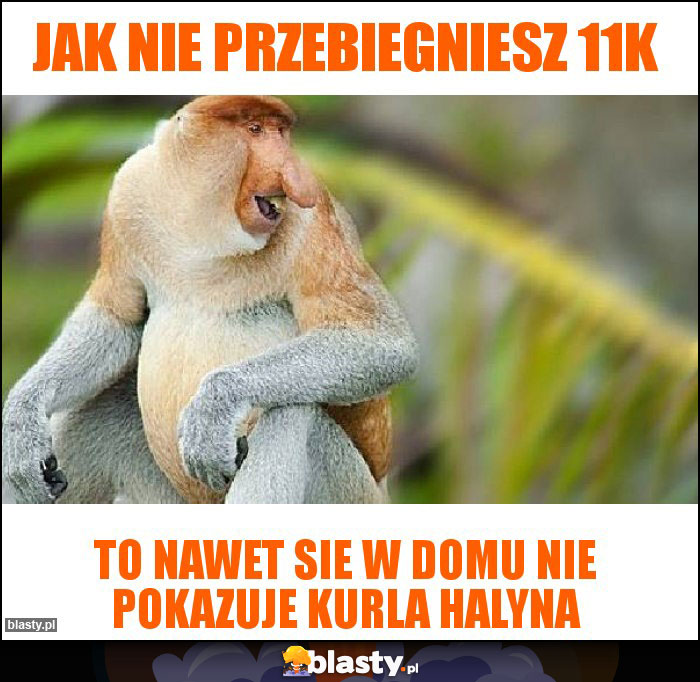 jak nie przebiegniesz 11k