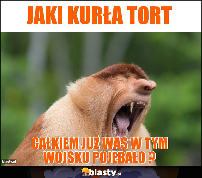 JAKI KURŁA TORT