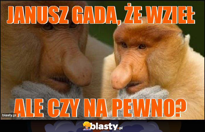 Janusz gada, że wzieł