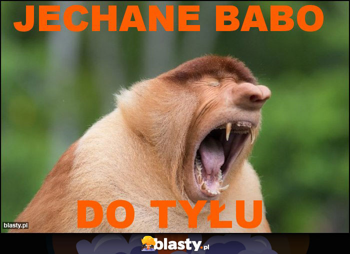 JECHANE BABO