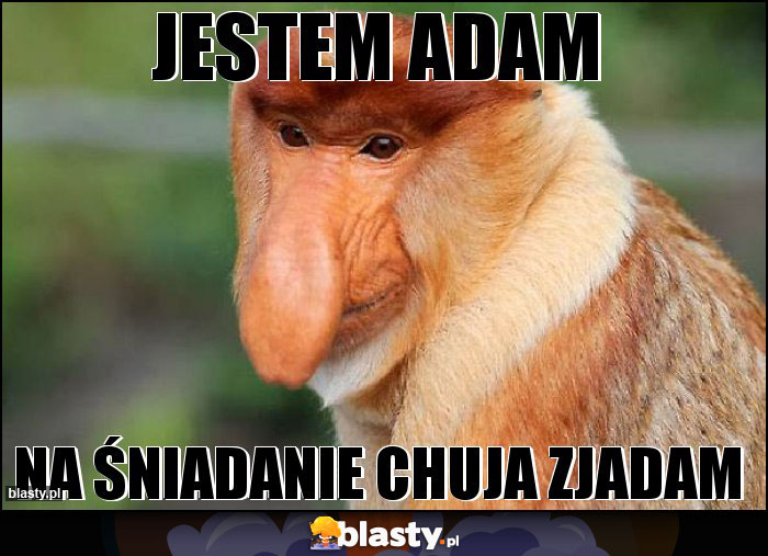 jestem adam