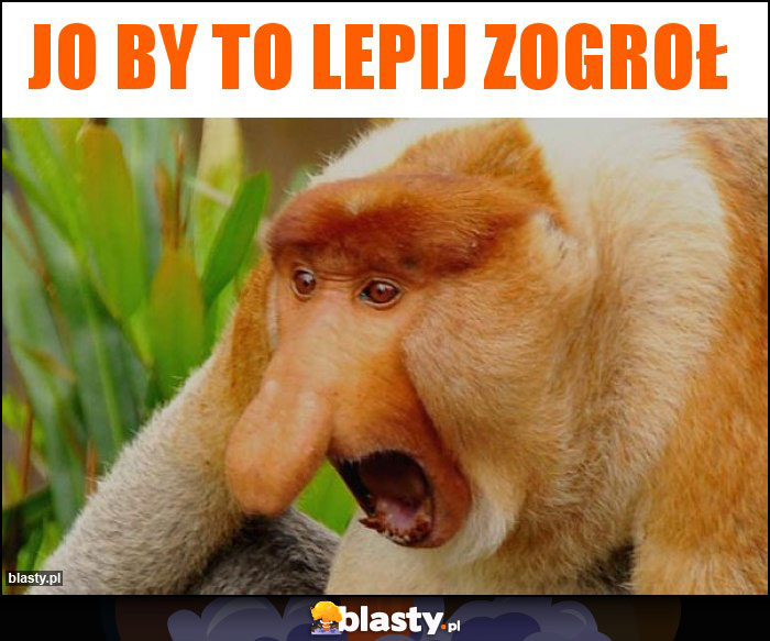 JO BY TO LEPIJ ZOGROŁ