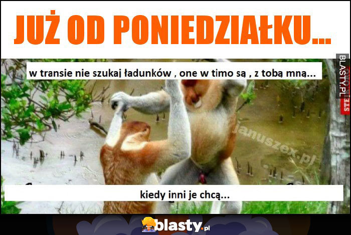 Już od poniedziałku...