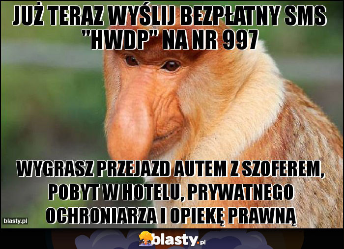 już teraz wyślij bezpłatny sms 
