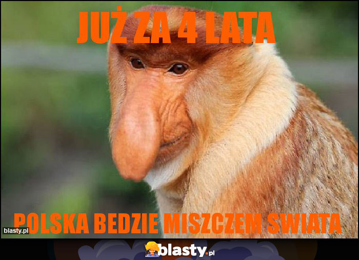 już za 4 lata