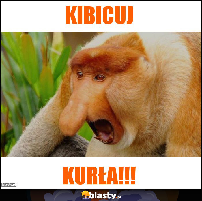 KIBICUJ