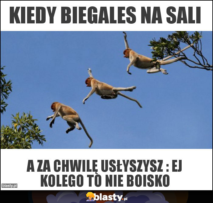 Kiedy biegales na sali