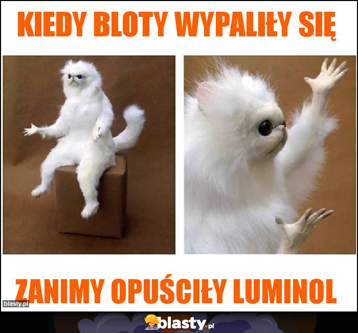 Kiedy bloty wypaliły się