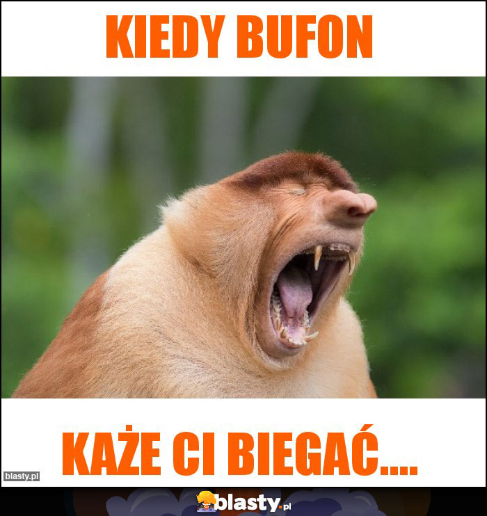 Kiedy bufon