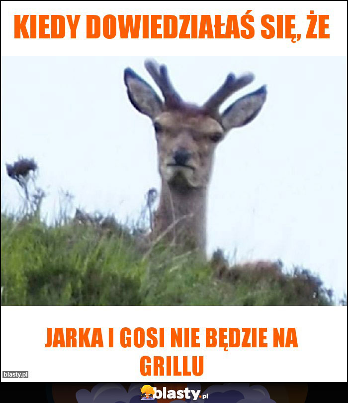 Kiedy dowiedziałaś się, że