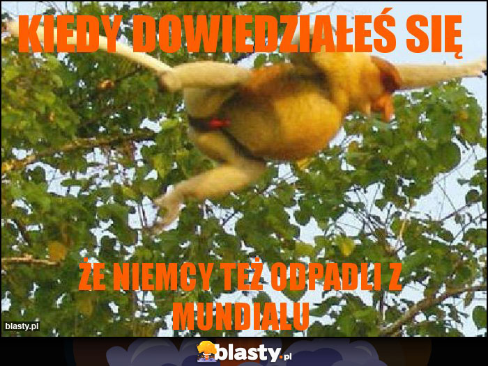 kiedy dowiedziałeś się