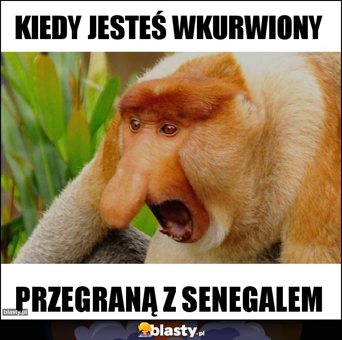 Kiedy jesteś wkurwiony