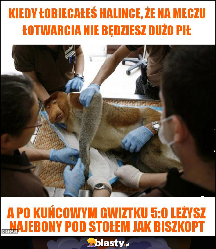 KIEDY ŁOBIECAŁEŚ HALINCE, ŻE NA MECZU ŁOTWARCIA NIE BĘDZIESZ DUŻO PIŁ