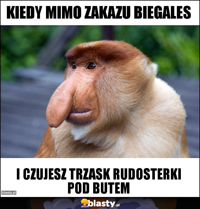 Kiedy mimo zakazu biegales