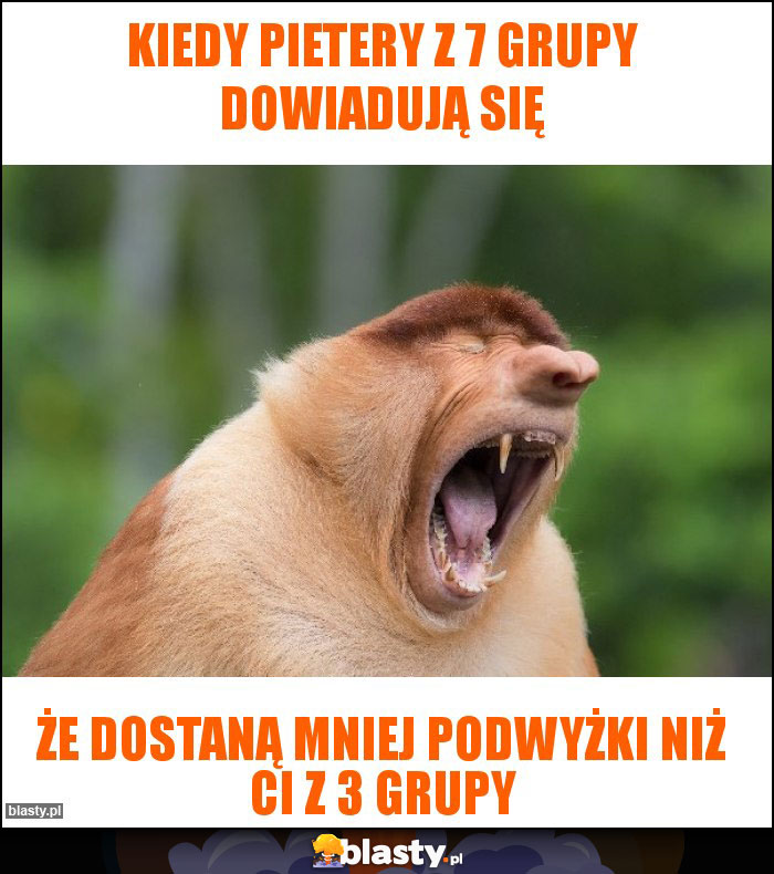 Kiedy Pietery z 7 grupy dowiadują się