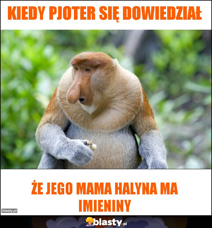 Kiedy pjoter się dowiedział