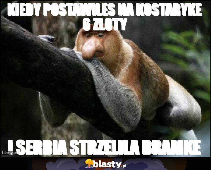 kiedy postawiles na kostaryke 6 zloty