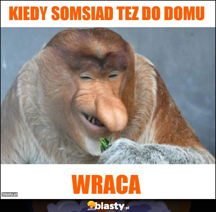 Kiedy somsiad tez do domu