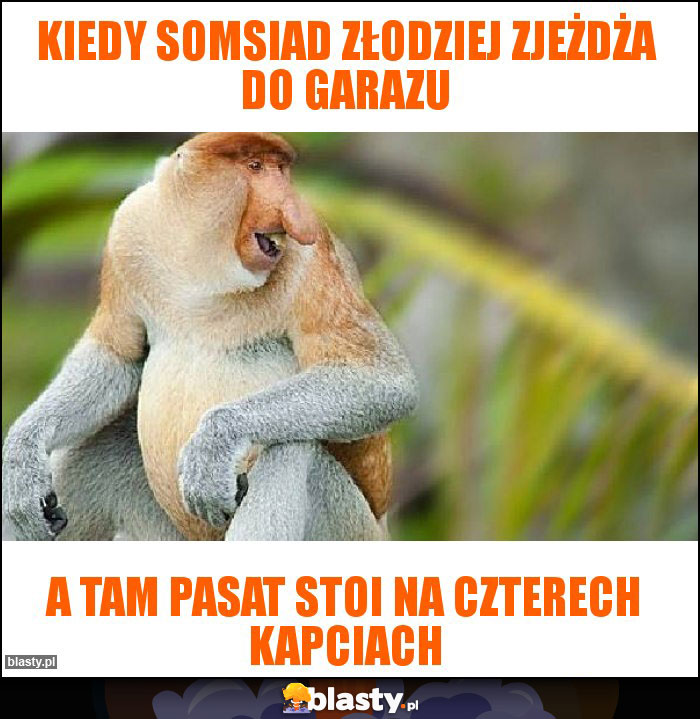 Kiedy somsiad złodziej zjeżdża do garazu