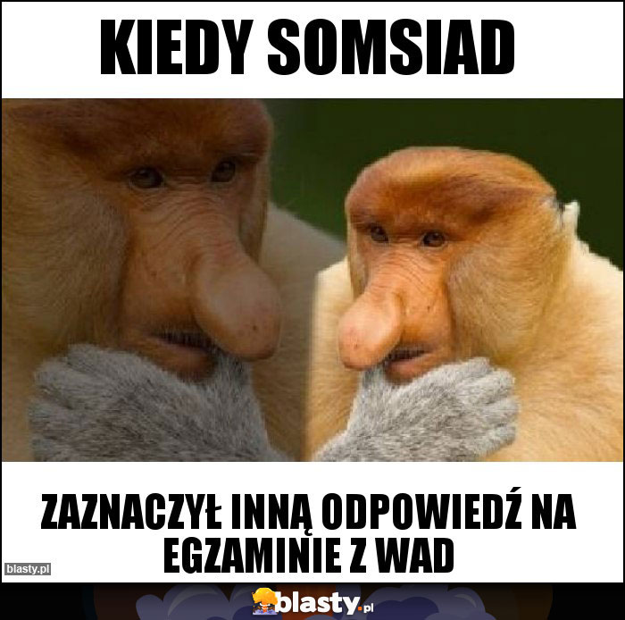 Kiedy somsiad