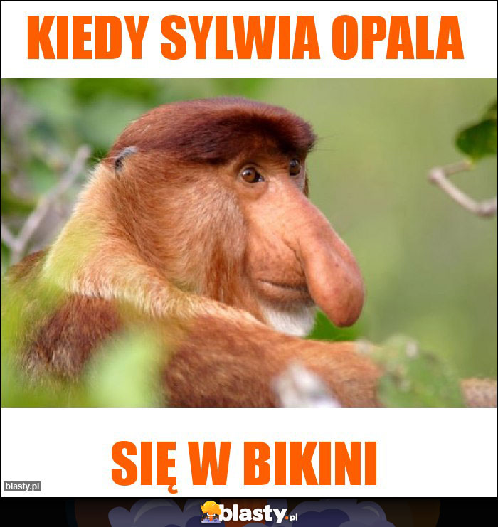 Kiedy Sylwia opala