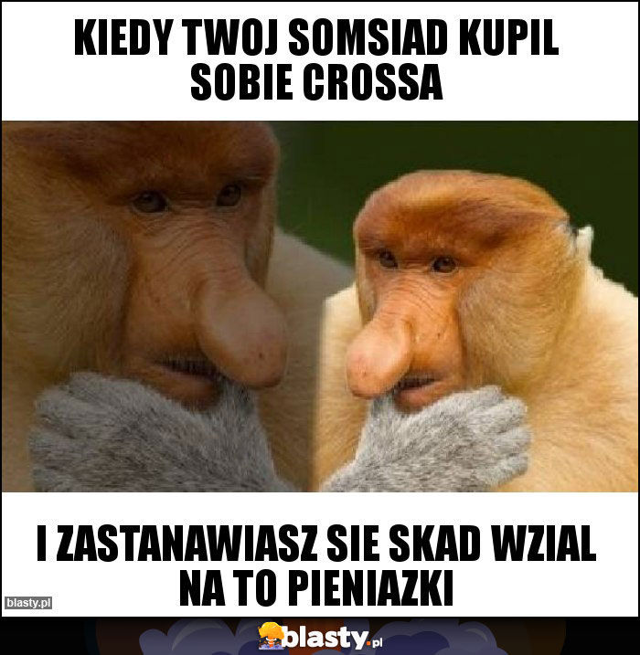 kiedy twoj somsiad kupil sobie crossa