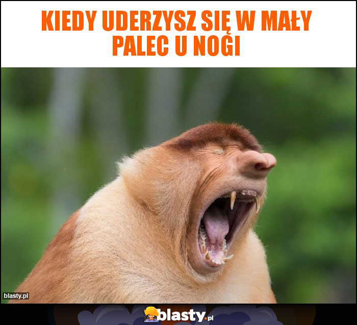 Kiedy uderzysz się w mały palec u nogi