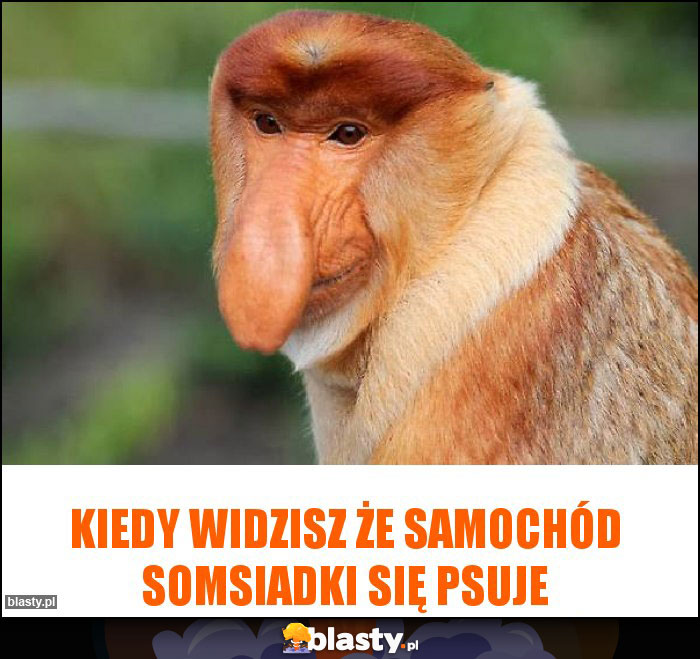 Kiedy widzisz że samochód somsiadki się psuje