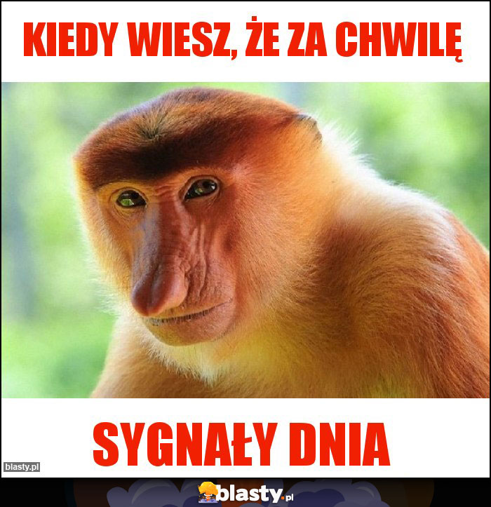 Kiedy wiesz, że za chwilę