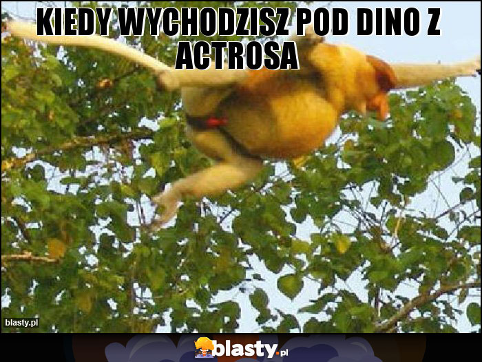 Kiedy wychodzisz pod dino z actrosa