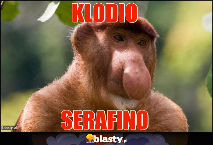 KLODIO