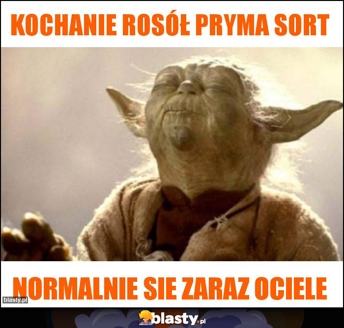 Kochanie rosół pryma sort