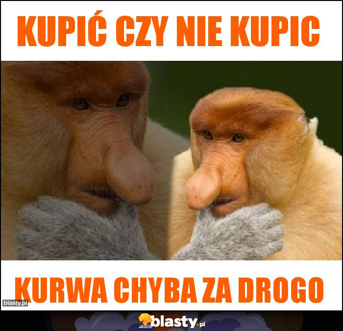 Kupić Czy Nie kupic