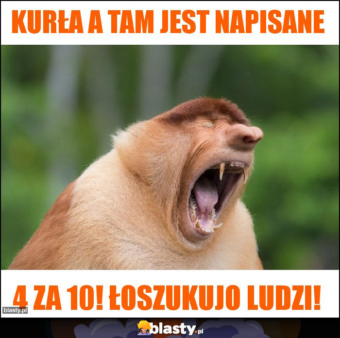 Kurła a tam jest napisane