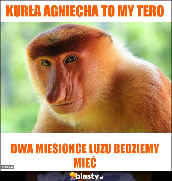 Kurła agniecha to my tero