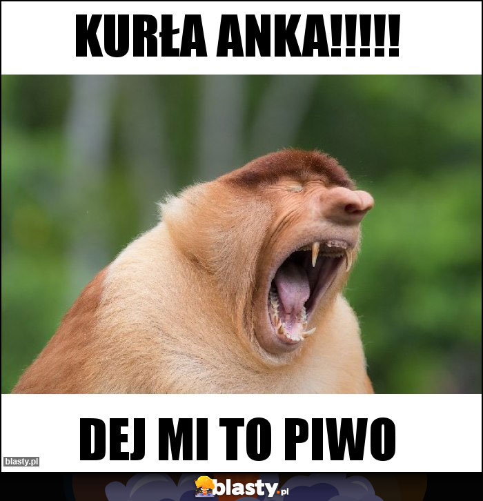 KURŁA ANKA!!!!!