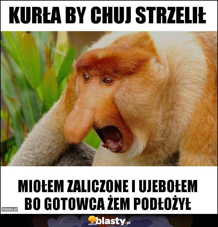 kurła by chuj strzelił